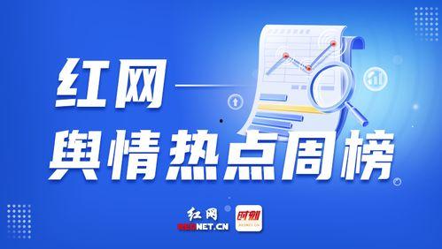 向新闻爆料,向爆料者致敬,探寻真相的力量 第3张 向新闻爆料,向爆料者致敬,探寻真相的力量 第3张
